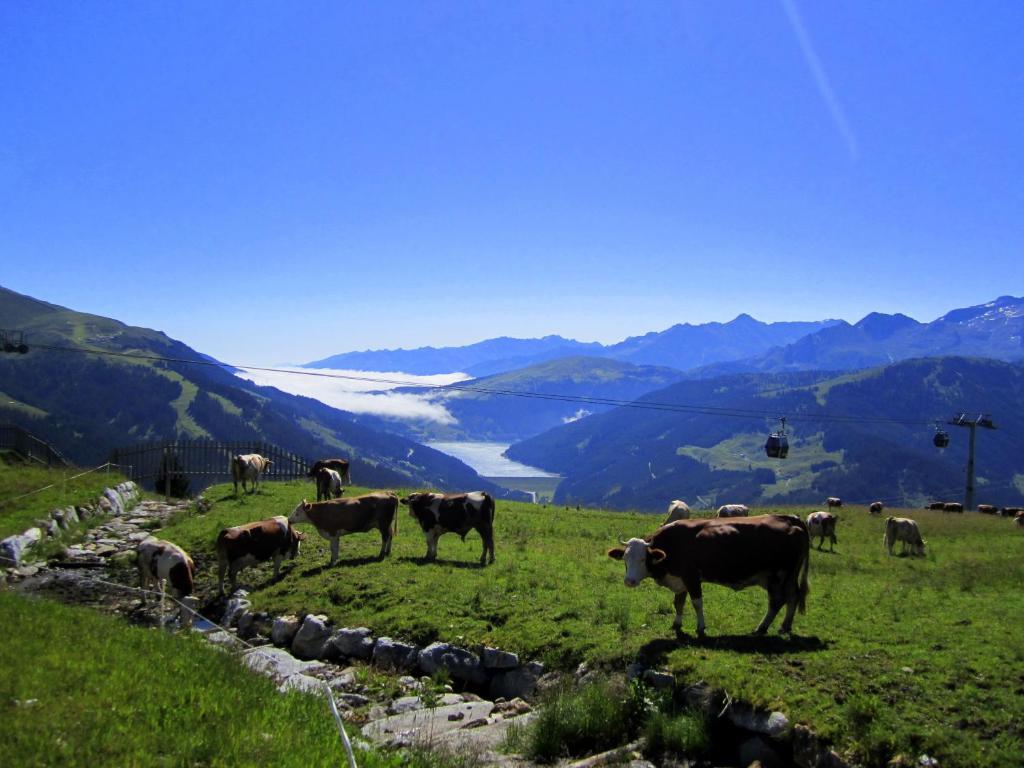 Gasthof Oberwirt Und Hotel Elisabeth Gerlos Dış mekan fotoğraf